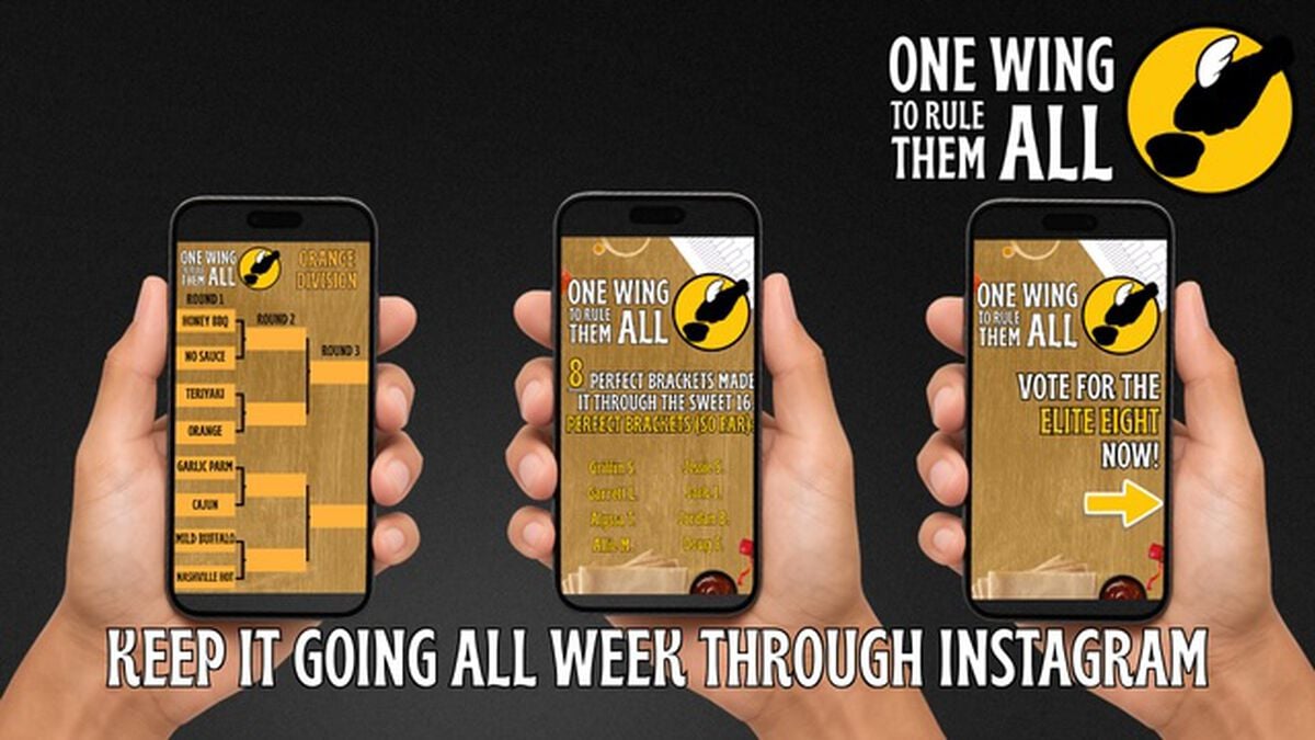 One Wing to Rule Them All image number null